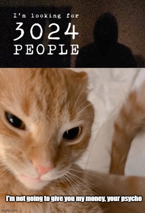 Orange Cat vs 3024 | I'm not going to give you my money, your psycho | image tagged in 3024,orange cat,arg,horror | made w/ Imgflip meme maker