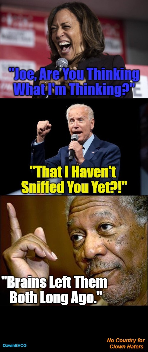 No Country for Clown Haters | image tagged in venting,joe biden,sir sniffs-a-lot,kamala harris,comrade kneepads,want my country back | made w/ Imgflip meme maker
