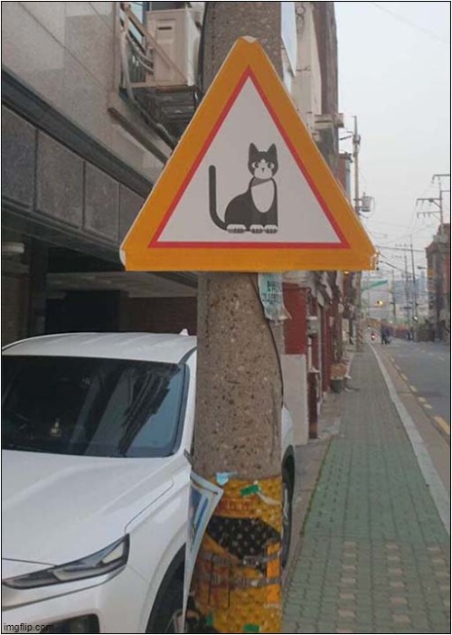 Cat Crossing Warning Sign - South Korea | image tagged in cats,crossing,south korea | made w/ Imgflip meme maker
