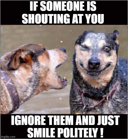 Useful Life Lesson ! | IF SOMEONE IS SHOUTING AT YOU; IGNORE THEM AND JUST
SMILE POLITELY ! | image tagged in dogs,shouting,ignore,smile,politely | made w/ Imgflip meme maker