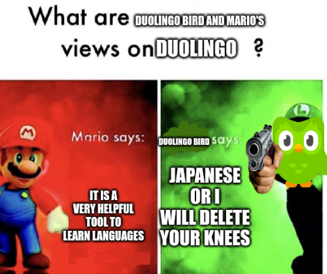 what are duolingo bird and mario's views on ? Blank Meme Template