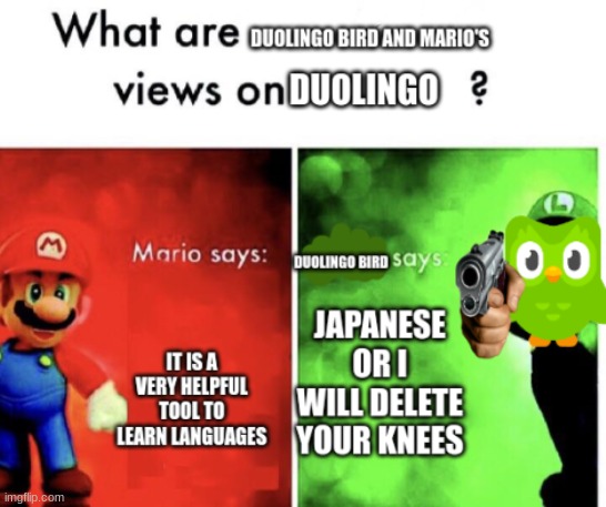 what are duolingo bird and mario's views on ? | image tagged in what are duolingo bird and mario's views on | made w/ Imgflip meme maker