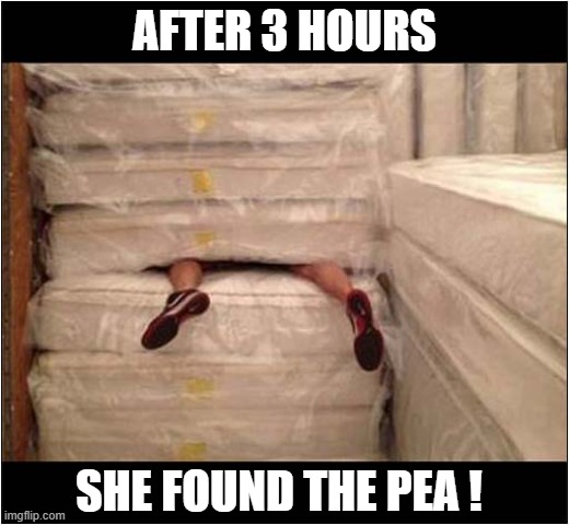 Fairy Tale Ending ! | AFTER 3 HOURS; SHE FOUND THE PEA ! | image tagged in fairy tales,princess,pea,mattress | made w/ Imgflip meme maker