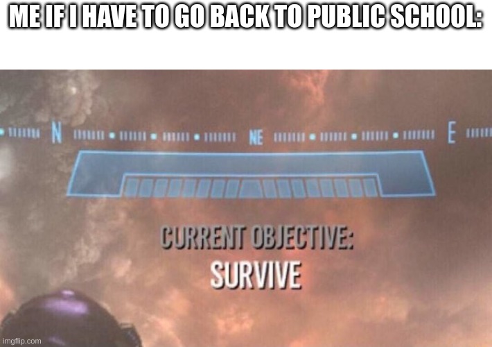 Apparently, CogAT on the IOWA Standardized Tests determines my IQ, which then determines if I have to go back to public or not. | ME IF I HAVE TO GO BACK TO PUBLIC SCHOOL: | image tagged in current objective survive,good morning | made w/ Imgflip meme maker