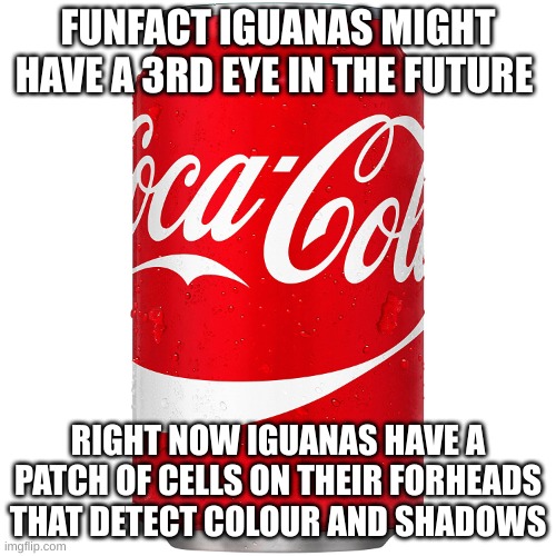 Conke | FUNFACT IGUANAS MIGHT HAVE A 3RD EYE IN THE FUTURE; RIGHT NOW IGUANAS HAVE A PATCH OF CELLS ON THEIR FORHEADS THAT DETECT COLOUR AND SHADOWS | image tagged in conke | made w/ Imgflip meme maker