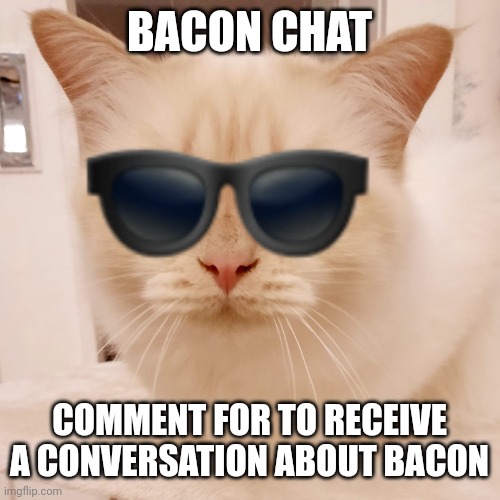 Cat with Sunglasses Emoji | BACON CHAT; COMMENT FOR TO RECEIVE A CONVERSATION ABOUT BACON | image tagged in cat with sunglasses emoji | made w/ Imgflip meme maker