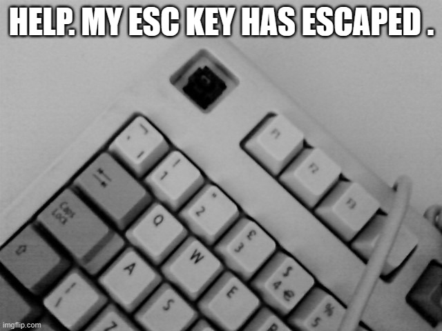 memes by Brad My ESC key has escaped | HELP. MY ESC KEY HAS ESCAPED . | image tagged in gaming,funny,keyboard,computer,pc gaming,humor | made w/ Imgflip meme maker