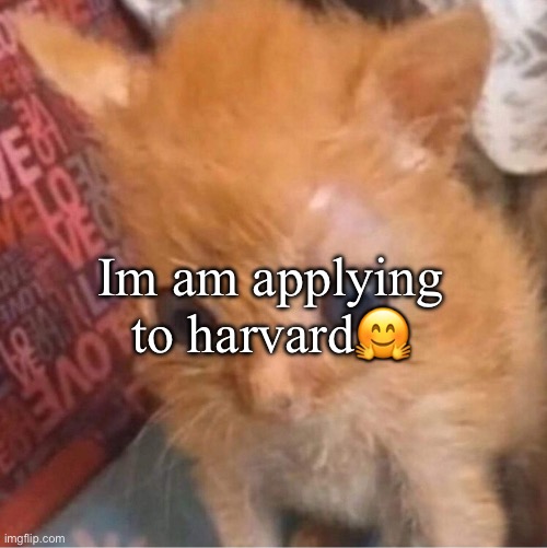 skrunkly | Im am applying to harvard🤗 | image tagged in skrunkly | made w/ Imgflip meme maker