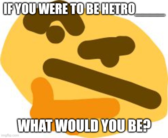 Like Hetrokino! | IF YOU WERE TO BE HETRO____; WHAT WOULD YOU BE? | image tagged in thonk | made w/ Imgflip meme maker