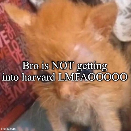 skrunkly | Bro is NOT getting into harvard LMFAOOOOO | image tagged in skrunkly | made w/ Imgflip meme maker
