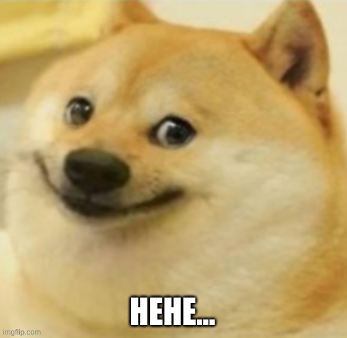 Smile Doge (Cropped) | HEHE... | image tagged in smile doge cropped | made w/ Imgflip meme maker