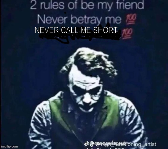 2 rules of be my friend | NEVER CALL ME SHORT | image tagged in 2 rules of be my friend | made w/ Imgflip meme maker