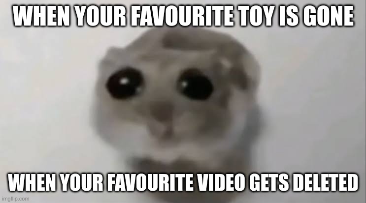 :( | WHEN YOUR FAVOURITE TOY IS GONE; WHEN YOUR FAVOURITE VIDEO GETS DELETED | image tagged in sad hamster | made w/ Imgflip meme maker