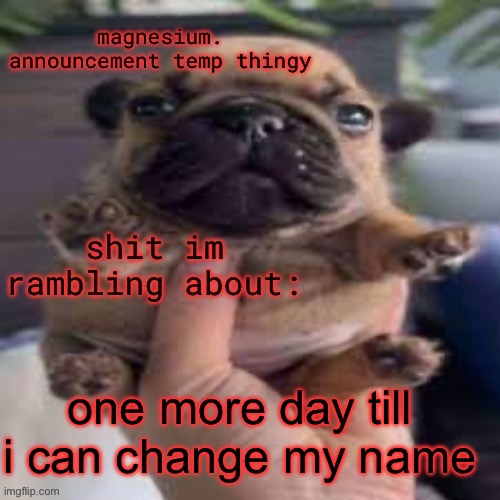 pug temp | one more day till i can change my name | image tagged in pug temp | made w/ Imgflip meme maker