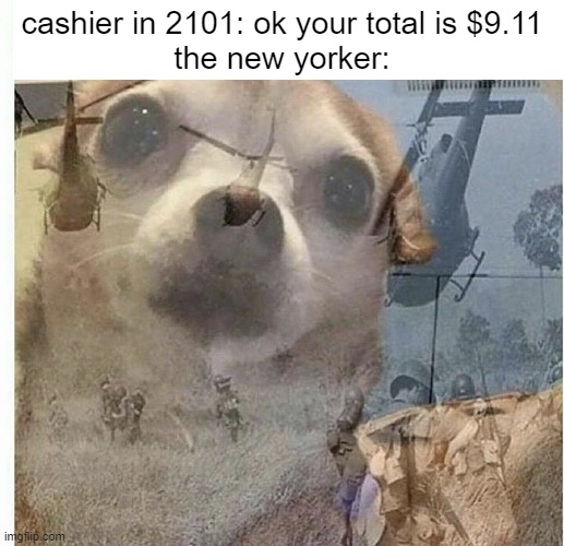 PTSD Chihuahua | cashier in 2101: ok your total is $9.11 
the new yorker: | image tagged in ptsd chihuahua | made w/ Imgflip meme maker