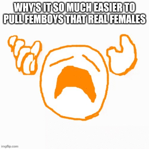NOOO | WHY'S IT SO MUCH EASIER TO PULL FEMBOYS THAT REAL FEMALES | image tagged in nooo | made w/ Imgflip meme maker