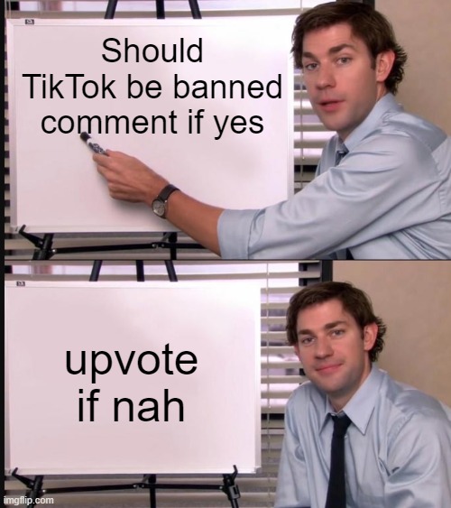 shoud it get banned thou | Should TikTok be banned comment if yes; upvote if nah | image tagged in jim halpert pointing to whiteboard,fun,tiktok,cool | made w/ Imgflip meme maker
