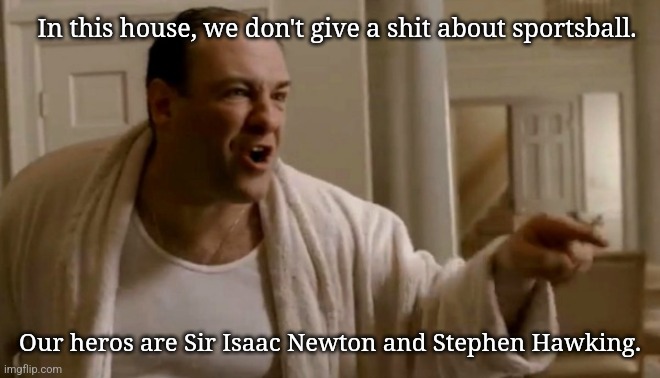 Tony Soprano in this house | In this house, we don't give a shit about sportsball. Our heros are Sir Isaac Newton and Stephen Hawking. | image tagged in tony soprano in this house | made w/ Imgflip meme maker