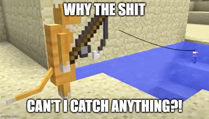 why the shit can't i catch anything | WHY THE SHIT; CAN'T I CATCH ANYTHING?! | image tagged in fishing cat,funny,minecraft | made w/ Imgflip meme maker