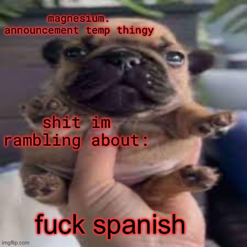 pug temp | fuck spanish | image tagged in pug temp | made w/ Imgflip meme maker