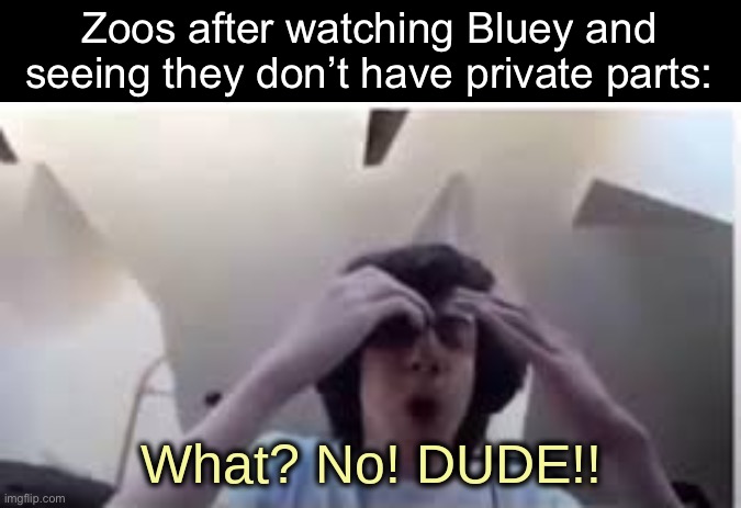 What? No! DUDE!! | Zoos after watching Bluey and seeing they don’t have private parts: | image tagged in what no dude | made w/ Imgflip meme maker