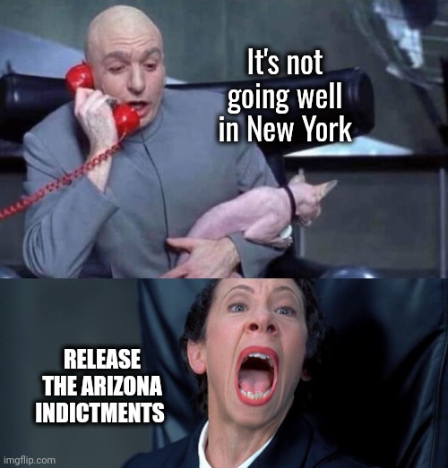 Moving on to Plan U | It's not going well in New York; RELEASE THE ARIZONA INDICTMENTS | image tagged in dr evil and frau,try try again,corruption,justice,well yes but actually no,democratic party | made w/ Imgflip meme maker