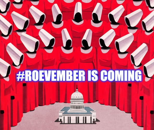 Roevember | #ROEVEMBER IS COMING | image tagged in politics,abortion rights,women's rights,women's march,vote,roevember | made w/ Imgflip meme maker