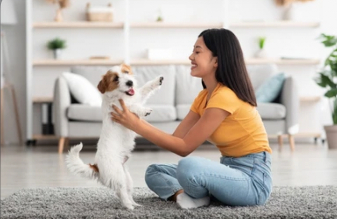 Person playing with puppy Blank Meme Template