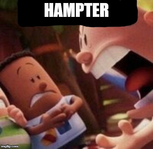 H A M P T E R | HAMPTER | image tagged in breasts | made w/ Imgflip meme maker