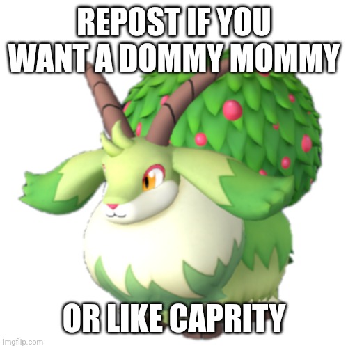Repost for caprity Blank Meme Template