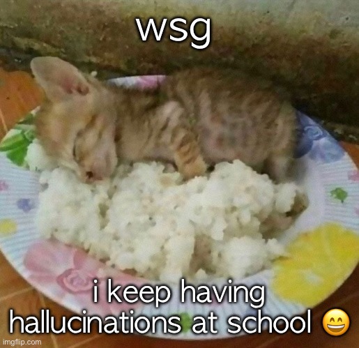 the meal | wsg; i keep having hallucinations at school 😄 | image tagged in the meal | made w/ Imgflip meme maker