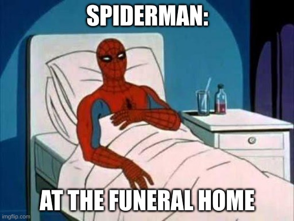 R.I.P | SPIDERMAN:; AT THE FUNERAL HOME | image tagged in spiderman cancer,sad cat,sad dog,sad frog | made w/ Imgflip meme maker