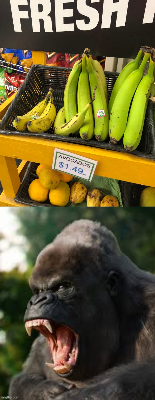 Still would eat those | image tagged in angry gorilla,fruits,you had one job,memes,avocados,bananas | made w/ Imgflip meme maker