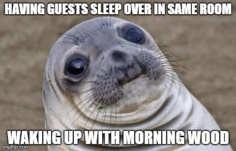 Awkward Moment Sealion Meme | HAVING GUESTS SLEEP OVER IN SAME ROOM WAKING UP WITH MORNING WOOD | image tagged in memes,awkward moment sealion | made w/ Imgflip meme maker