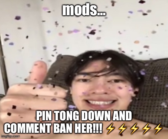 she’s breaking rule four guys :nerd: | mods…; PIN TONG DOWN AND COMMENT BAN HER!!! ⚡️⚡️⚡️⚡️⚡️ | image tagged in yippee | made w/ Imgflip meme maker