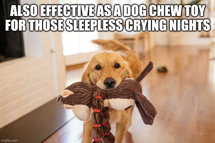 Dog offering toy | ALSO EFFECTIVE AS A DOG CHEW TOY
FOR THOSE SLEEPLESS CRYING NIGHTS | image tagged in dog offering toy | made w/ Imgflip meme maker