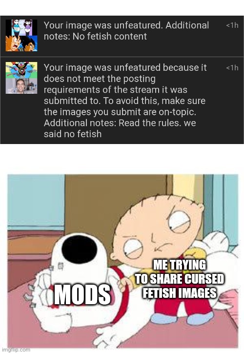 Stewie Where's My Money | ME TRYING TO SHARE CURSED FETISH IMAGES; MODS | image tagged in stewie where's my money | made w/ Imgflip meme maker