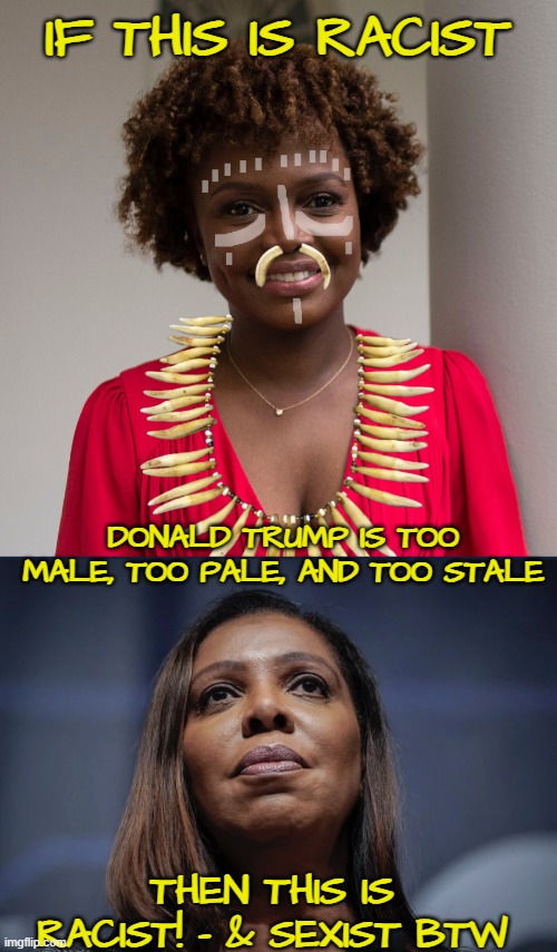 IF THIS IS RACIST DONALD TRUMP IS TOO MALE, TOO PALE, AND TOO STALE THEN THIS IS
RACIST! - & SEXIST BTW | image tagged in joe biden cannibal press secretary,letitia james looks up | made w/ Imgflip meme maker