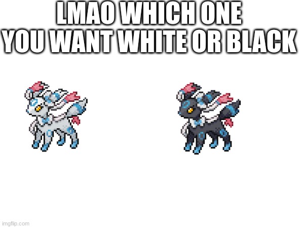 funny | LMAO WHICH ONE YOU WANT WHITE OR BLACK | made w/ Imgflip meme maker