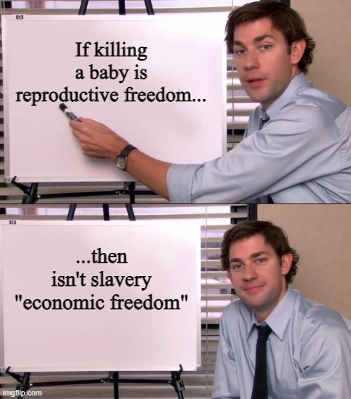 Jim Halpert Explains | If killing a baby is reproductive freedom... ...then isn't slavery "economic freedom" | image tagged in jim halpert explains | made w/ Imgflip meme maker