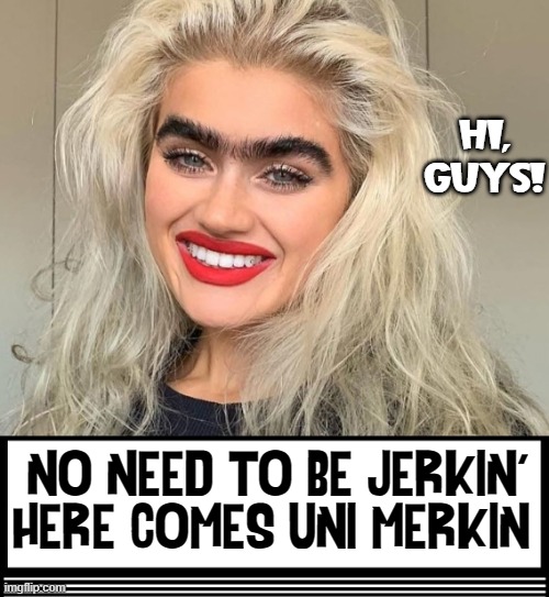 A Fresh, New Natural Look! | HI,
GUYS! NO NEED TO BE JERKIN'
HERE COMES UNI MERKIN | image tagged in vince vance,memes,uni,eyebrows,pretty girls,natural | made w/ Imgflip meme maker