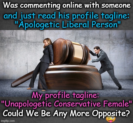 Mars vs Venus? | Was commenting online with someone; and just read his profile tagline: 
"Apologetic Liberal Person"; My profile tagline: 
"Unapologetic Conservative Female"; Could We Be Any More Opposite? | image tagged in political humor,liberals vs conservatives,tag,opposites,mars venus | made w/ Imgflip meme maker