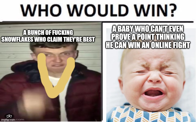 Who Would Win? Meme | A BUNCH OF FUCKING SNOWFLAKES WHO CLAIM THEY'RE BEST A BABY WHO CAN'T EVEN PROVE A POINT THINKING HE CAN WIN AN ONLINE FIGHT | image tagged in memes,who would win | made w/ Imgflip meme maker