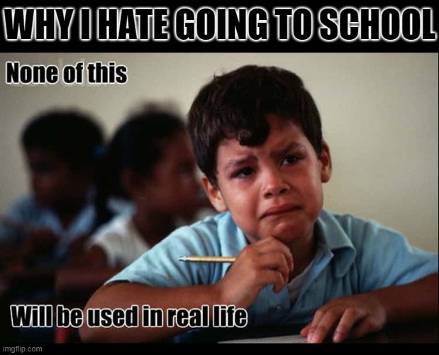 School Dazed, Good Ol' Golden Rule Days | WHY I HATE GOING TO SCHOOL | image tagged in vince vance,memes,classroom,elementary school,little boy,crying | made w/ Imgflip meme maker