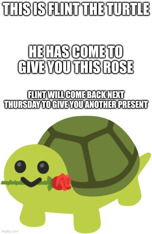Isn't he cute? | THIS IS FLINT THE TURTLE; HE HAS COME TO GIVE YOU THIS ROSE; FLINT WILL COME BACK NEXT THURSDAY TO GIVE YOU ANOTHER PRESENT | image tagged in turtle | made w/ Imgflip meme maker