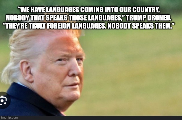 Drag trump | “WE HAVE LANGUAGES COMING INTO OUR COUNTRY, NOBODY THAT SPEAKS THOSE LANGUAGES,” TRUMP DRONED. “THEY’RE TRULY FOREIGN LANGUAGES. NOBODY SPEA | image tagged in drag trump | made w/ Imgflip meme maker