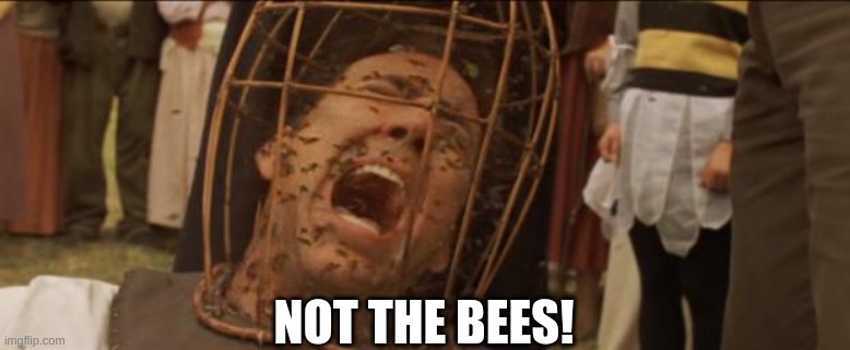 Not the bees | NOT THE BEES! | image tagged in not the bees | made w/ Imgflip meme maker