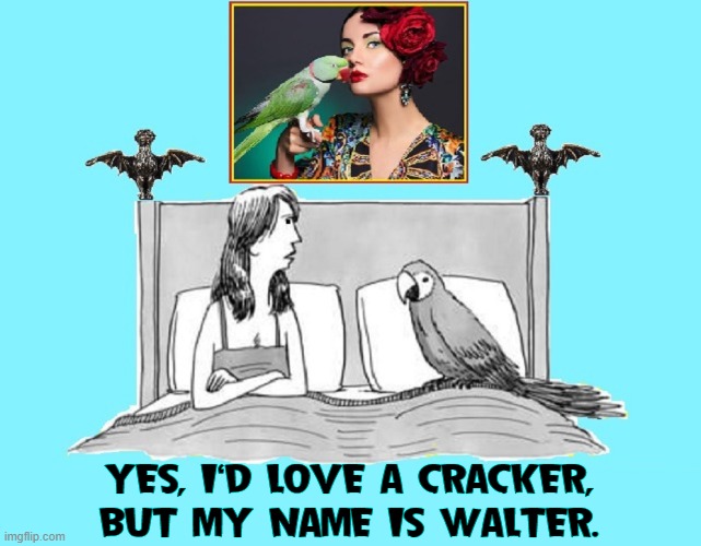 Well, the Bird Bird Bird, yeah, the Bird is the Word | YES, I'D LOVE A CRACKER,
BUT MY NAME IS WALTER. | image tagged in vince vance,cartoon,comics,parrot,polly,cracker | made w/ Imgflip meme maker
