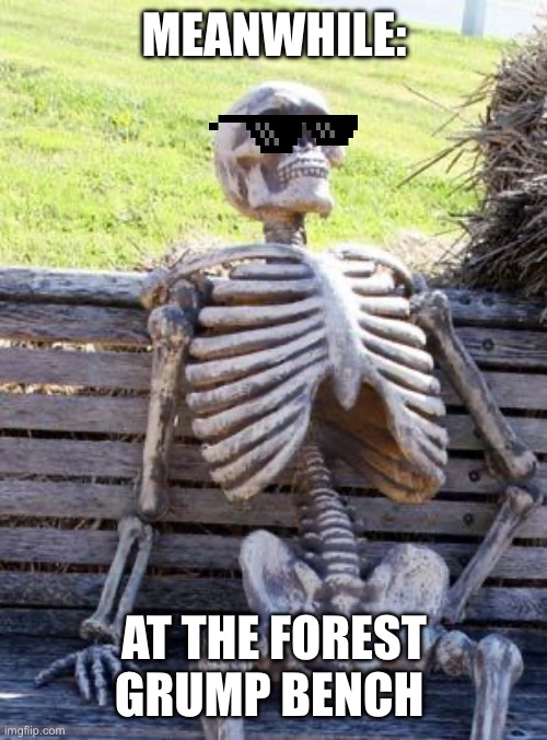 Waiting Skeleton | MEANWHILE:; AT THE FOREST GRUMP BENCH | image tagged in memes,waiting skeleton | made w/ Imgflip meme maker