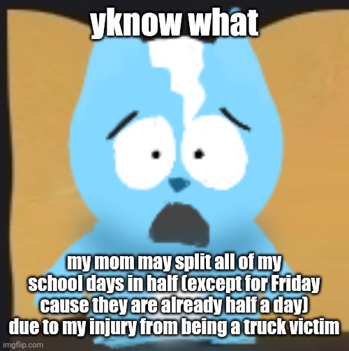 bro is in South Park | yknow what; my mom may split all of my school days in half (except for Friday cause they are already half a day) due to my injury from being a truck victim | image tagged in bro is in south park | made w/ Imgflip meme maker